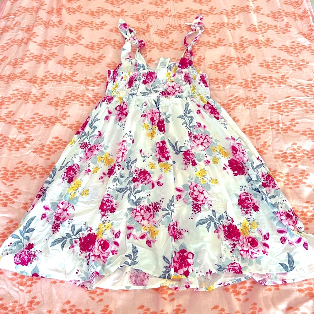 Brand New TORRID Skater Dress